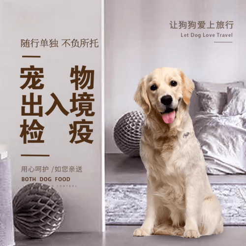 东营市宠物托运到哥伦比亚猫狗宠物入境规定和