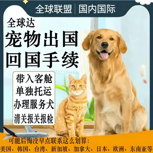 东营市宠物托运到柬埔寨宠物入境规定和要求