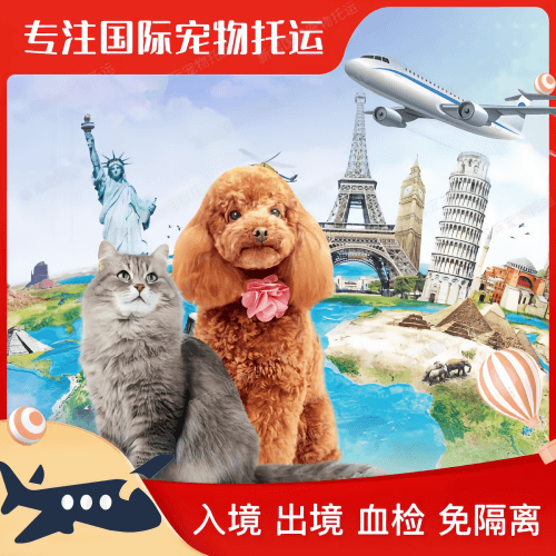 东营市宠物托运到美国宠物入境最新规定和要求