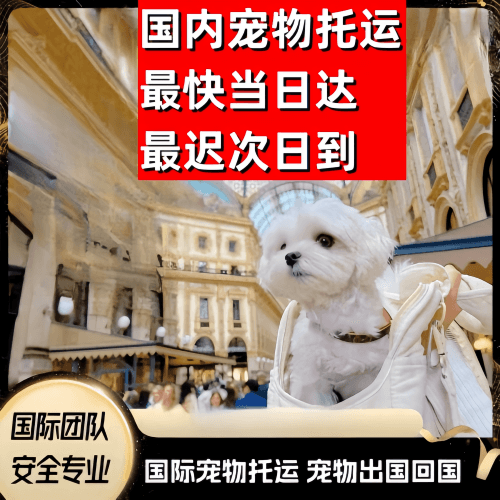 东营市到澳大利亚（澳洲）宠物入境规定和要求
