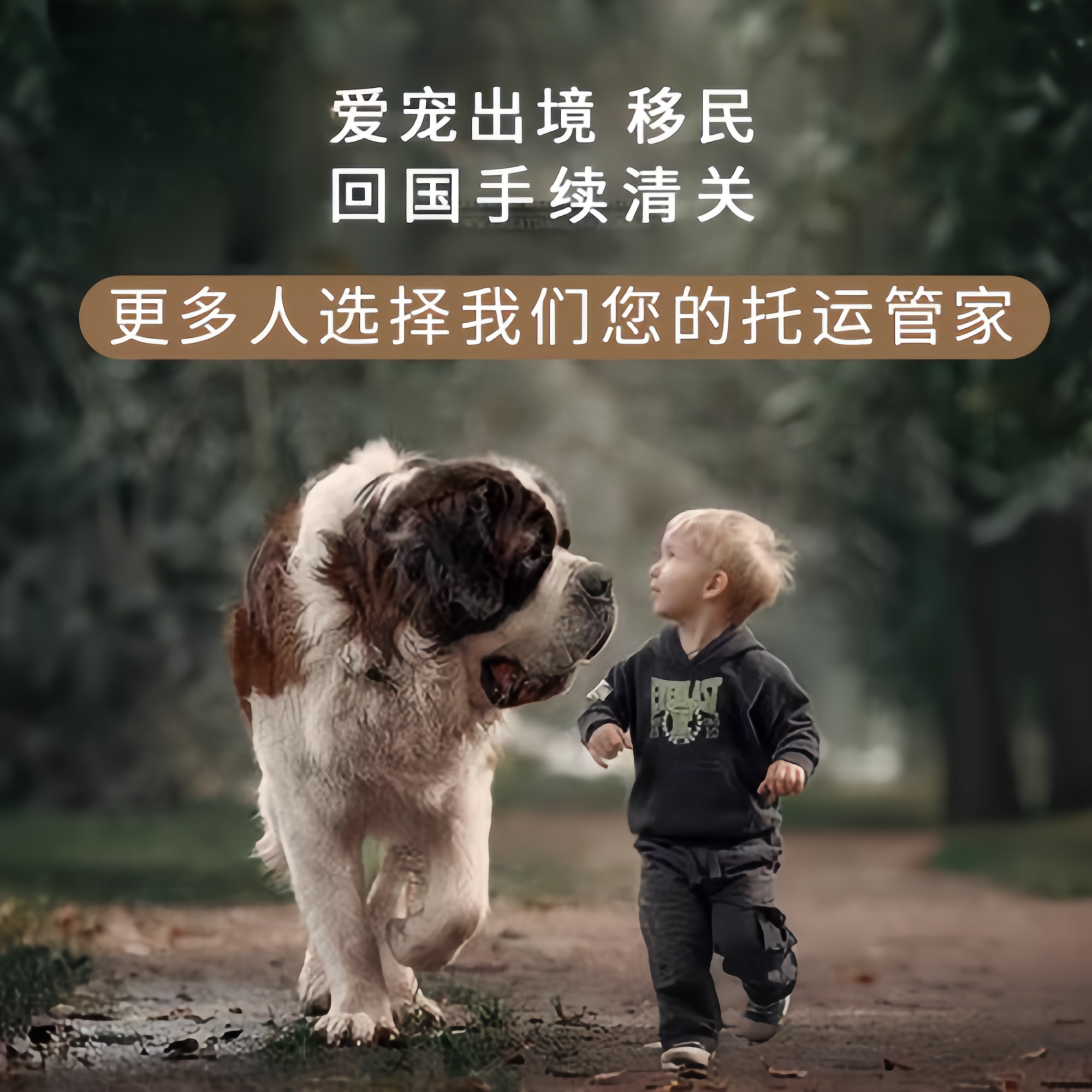 满财东营市宠物全球达宠物托运在遵守入境目的地政策的条件