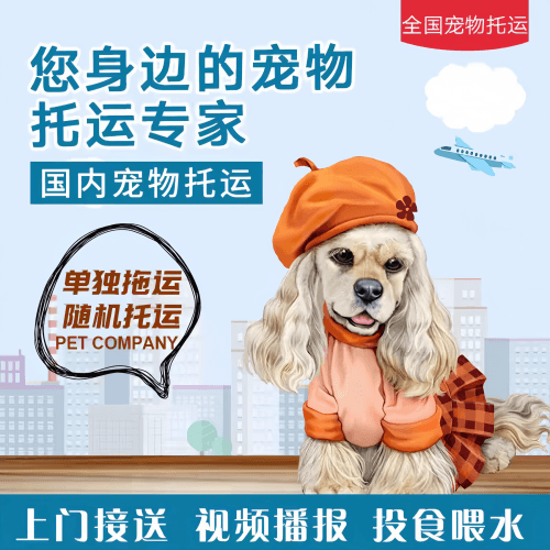 满财东营市宠物全球达宠物托运作为专业的宠物运输代理机构